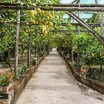 ヴィラ Romantic Garden *