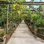 فيلة Romantic Garden *