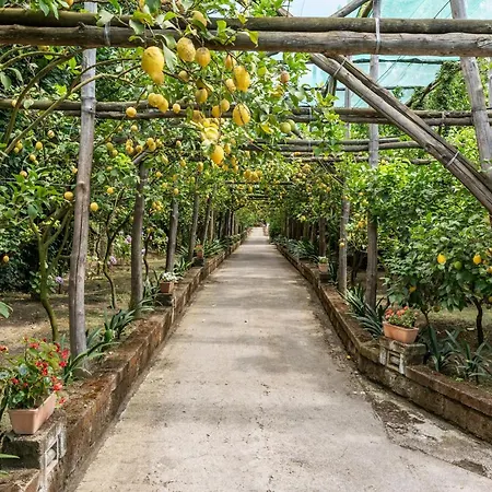 Вилла Romantic Garden *