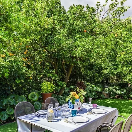 Romantic Garden *
