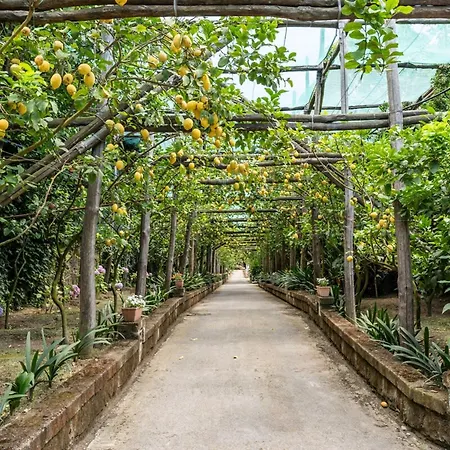 Вилла Romantic Garden *