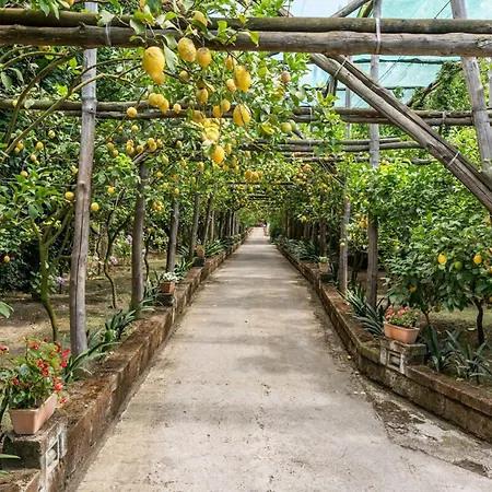 Вилла Romantic Garden *