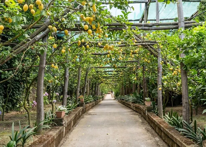 Villa Romantic Garden *